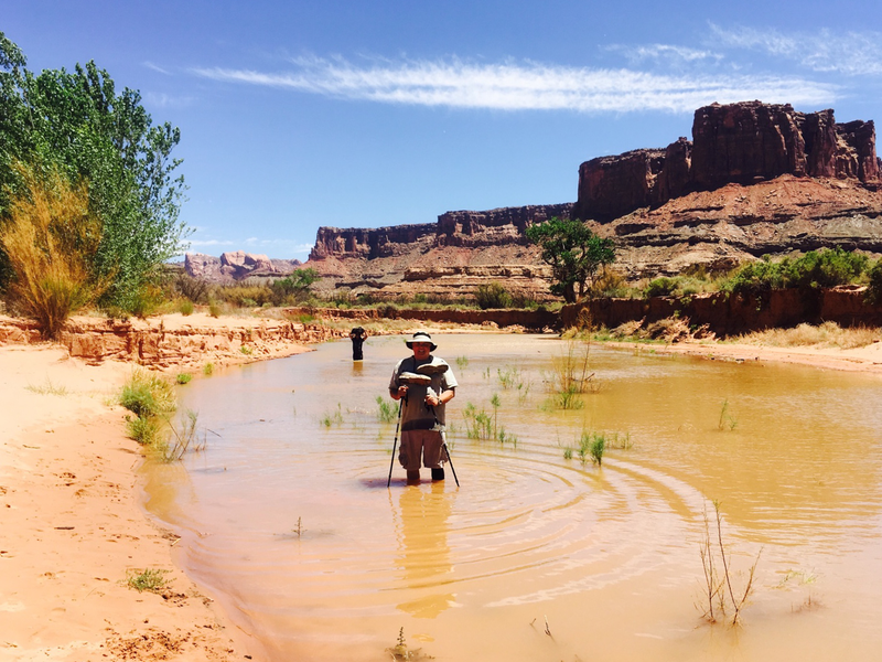 The wash extended around the bend, past the large tree on the right. Bob enjoyed the cool water, as did I as I carried gear to the truck